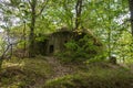 Military bunker in forest from World War II Royalty Free Stock Photo