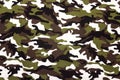 Military camouflage cloth pattern background. Royalty Free Stock Photo