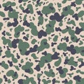 Military Camouflage Textile Pattern