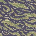 Military Camouflage Textile Pattern