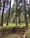 Military Camp Trench Royalty Free Stock Photo