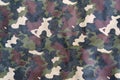 The military camuflage leather texture