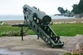 Military Cannon Aiming Over Lake Michigan