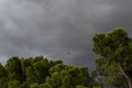 A military cargo plane about to land Royalty Free Stock Photo