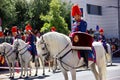 A group of cavalrymen in festive uniforms on white horses