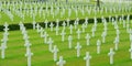 Military cemetary Royalty Free Stock Photo