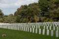 Military cemetery