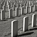 Military Cemetery Royalty Free Stock Photo