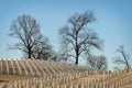 Military cemetery Royalty Free Stock Photo