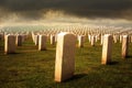 Military cemetery in the early hours of the morning Royalty Free Stock Photo