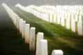 Military cemetery gravestones Royalty Free Stock Photo