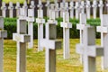 Military cemetery Royalty Free Stock Photo