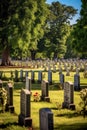 military cemetery with rows of headstones Royalty Free Stock Photo