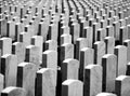 United States Military Cemetery with Headstones for Soldiers Royalty Free Stock Photo