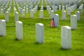 United States Military Cemetery with Headstones for Soldiers Royalty Free Stock Photo