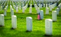 United States Military Cemetery with Headstones for Soldiers Royalty Free Stock Photo