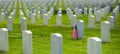 United States Military Cemetery with Headstones for Soldiers Royalty Free Stock Photo