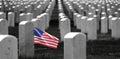 United States Military Cemetery with Headstones for Soldiers Royalty Free Stock Photo