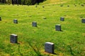 Military Cemetery Virginia