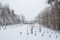 Military Cemetery, War Cemetery, War Cemetery Winter, Military Cemetery Winter, Cemetery Soldiers Winter Snow