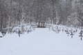 Military Cemetery, War Cemetery, War Cemetery Winter, Military Cemetery Winter, Cemetery Soldiers Winter Snow