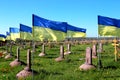 Military cemetery where soldiers who died in Russian war against Ukraine are buried. State Ukrainian flag flutter over graves and