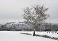 Military cemetery in winter Royalty Free Stock Photo