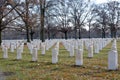 Military Christmas Graves Royalty Free Stock Photo
