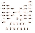 Military detachment of ants on a white background.