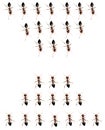 Military detachment of ants on a white background.