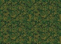 Military digital forest camouflage