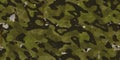 Military dirty green khaki with holes and rusty smudges painted wall backdrop. Corroded dirty steel sheet. Metal texture. Grunge Royalty Free Stock Photo