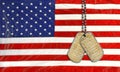 Military dog tags with U.S. Constitution Royalty Free Stock Photo