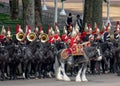 Military drum horse taking part in the Trooping the Colour military ceremony at Horse Guards, London UK Royalty Free Stock Photo