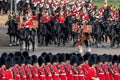 Military drum horse taking part in the Trooping the Colour military ceremony at Horse Guards, London UK