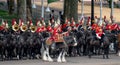 Military drum horse taking part in the Trooping the Colour military ceremony at Horse Guards, London UK Royalty Free Stock Photo