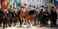Military drum horse taking part in the Trooping the Colour military parade at Horse Guards, Westminster, London UK Royalty Free Stock Photo