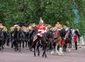 Military drum horse and other cavalry taking part in the Trooping the Colour military parade, London UK