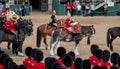 Military drum horses with riders taking part in the Trooping the Colour military ceremony at Horse Guards, London UK Royalty Free Stock Photo