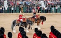 Military drum horses with riders taking part in the Trooping the Colour military ceremony at Horse Guards, London UK