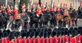 Military drum horses taking part in the Trooping the Colour military ceremony at Horse Guards, London UK Royalty Free Stock Photo