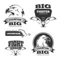 Military eagle heraldry vector labels, logos, emblems