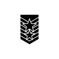 military epaulettes icon. Element of military for mobile concept and web apps. Detailed military epaulettes icon can be used for