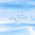 Military fighters and attack planes in sky Royalty Free Stock Photo