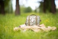 military first aid kit with camouflage pattern on grass Royalty Free Stock Photo