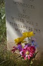 Military Gravestone and Flowers - Vertical Royalty Free Stock Photo