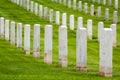 Military graveyard Royalty Free Stock Photo