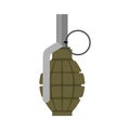 Military Grenade green. Army explosives. Soldiery ammunition. Wa