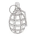 Military grenade. Hand drawn sketch