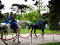 Military guards in honor guard riding at the Elisabeth Palace, Bucharest
